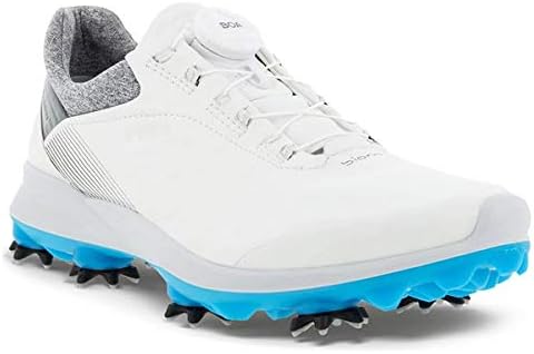 『美品』ECCO GOLF バイオム G3 ゴアテックス BOA ゴルフシューズ ECCO Women's Biom G3 | ECCO Golf